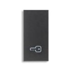 VIMAR SPA - VIW19021.P TASTO 1M SIMBOLO CHIAVE GRIGIO