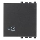 VIMAR SPA - VIW19022.P TASTO 2M SIMBOLO CHIAVE GRIGIO