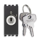 VIMAR SPA - VIW19083 INTERRUTTORE 2P 16(3)A +CHIAVE GRIGIO