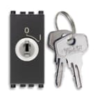 VIMAR SPA - VIW19083 Interruttore 2P 16(3)A +chiave grigio