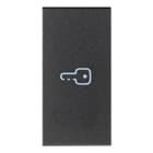 VIMAR SPA - VIW19131.P TASTO 1M SIMBOLO CHIAVE ASSIALE GRIGIO