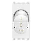 VIMAR SPA - VIW19405.10.B Interruttore MT 1P+N C10 120-230V bianco