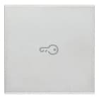 VIMAR SPA - VIW20132.P.N TASTO 2M SIMBOLO CHIAVE ASSIALE NEXT
