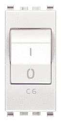 VIMAR S.P.A. - VIW20405.06.B INTERRUTTORE MT 1P+N C6 120-230V BIANCO