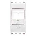 VIMAR SPA - VIW20405.06.B Interruttore MT 1P+N C6 120-230V bianco