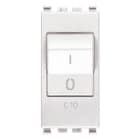 VIMAR SPA - VIW20405.10.B INTERRUTTORE MT 1P+N C10 120-230V BIANCO