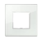 VIMAR SPA - VIW21642.71 PLACCA 2M ACQUA