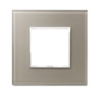 VIMAR SPA - VIW21642.74 PLACCA 2M OPALE BRUNO