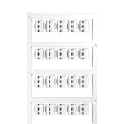 WEIDMULLER - WEI1813130000 SFC 0/12 MC NE WS