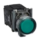 SCHNEIDER ELECTRIC - SNRXB4BW3345 PULSANTE LUMINOSO VERDE 240V
