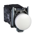 SCHNEIDER ELECTRIC - SNRXB4BV31 Lampada spia Ø22 - IP65 - bianca - lampadina BA 9S - 120V
