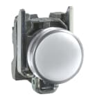 SCHNEIDER ELECTRIC - SNRXB4BVG1 Lampada spia Ø22 - bianca - LED universale- 120Vac