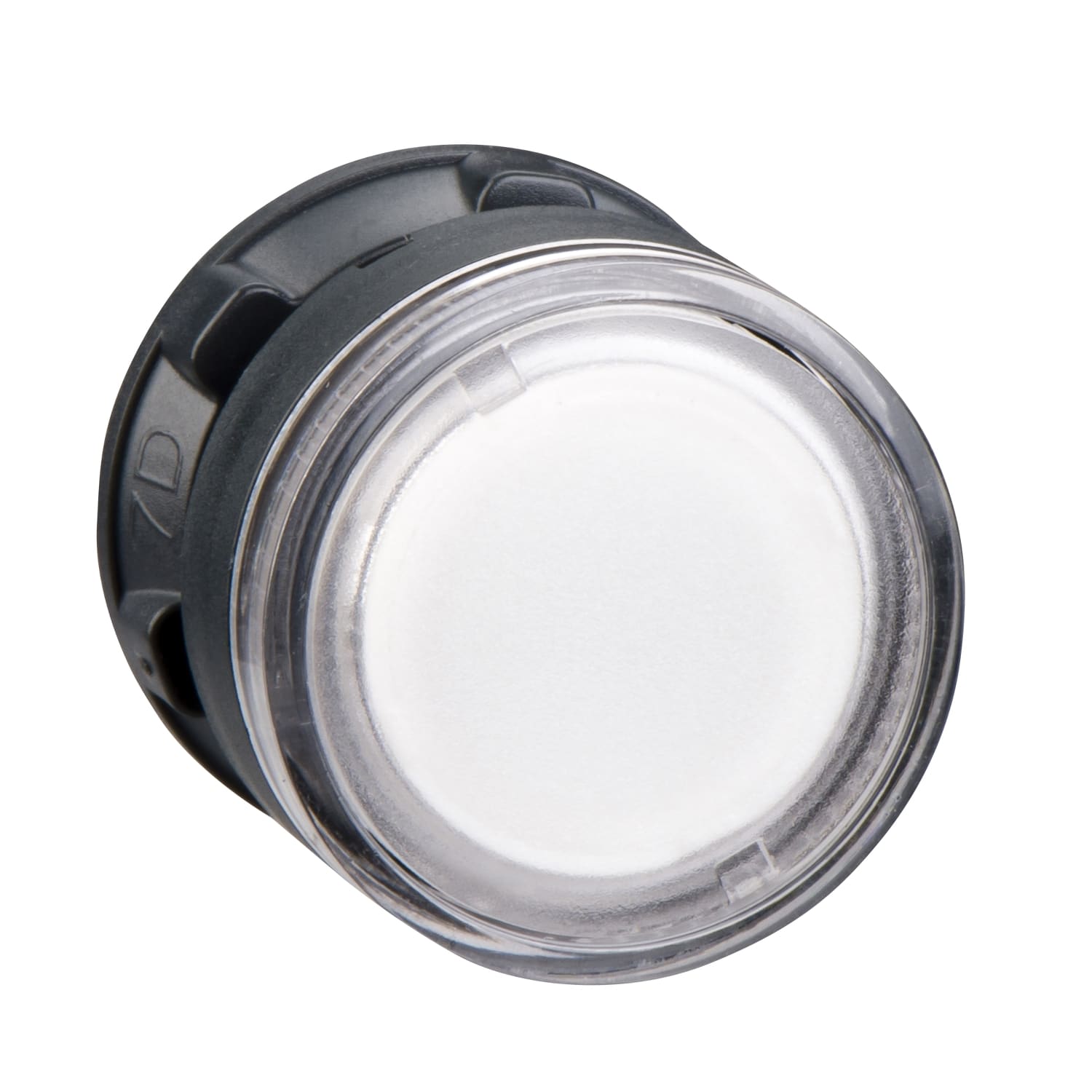 SCHNEIDER ELECTRIC SNRZB5AW37 TESTA PULSANTE LUMINOSO INCOLORE