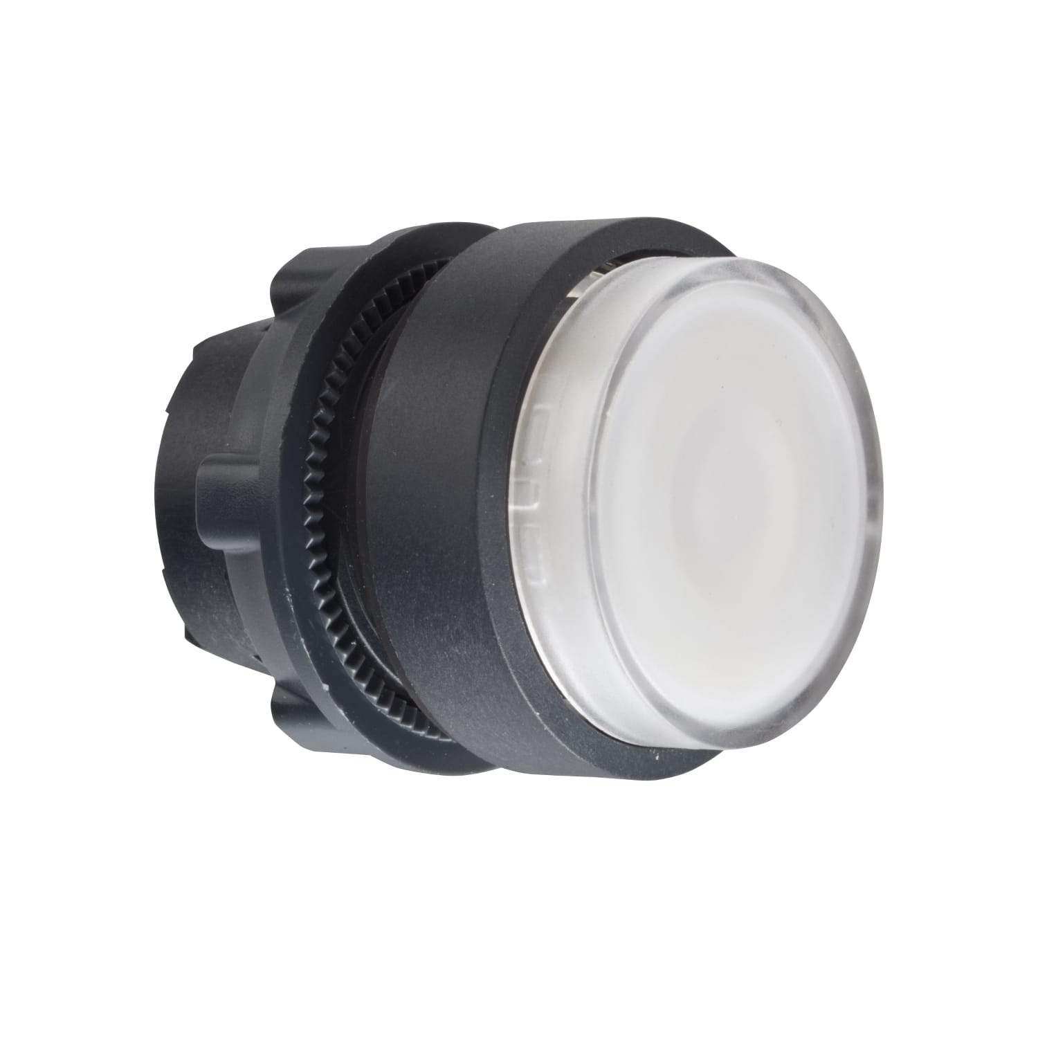 SCHNEIDER ELECTRIC SNRZB5AW113 TESTA PULSANTE LUMINOSO BIANCO L
