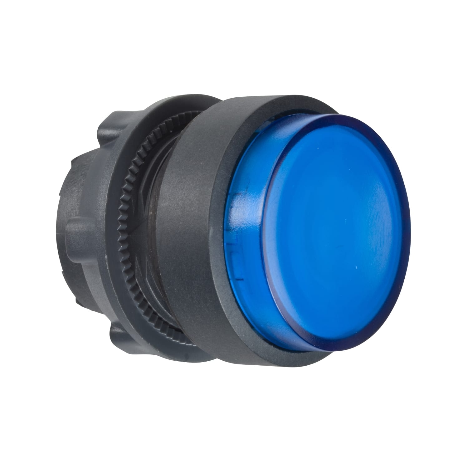 SCHNEIDER ELECTRIC SNRZB5AW163 TESTA PULSANTE LUMINOSO BLU LED