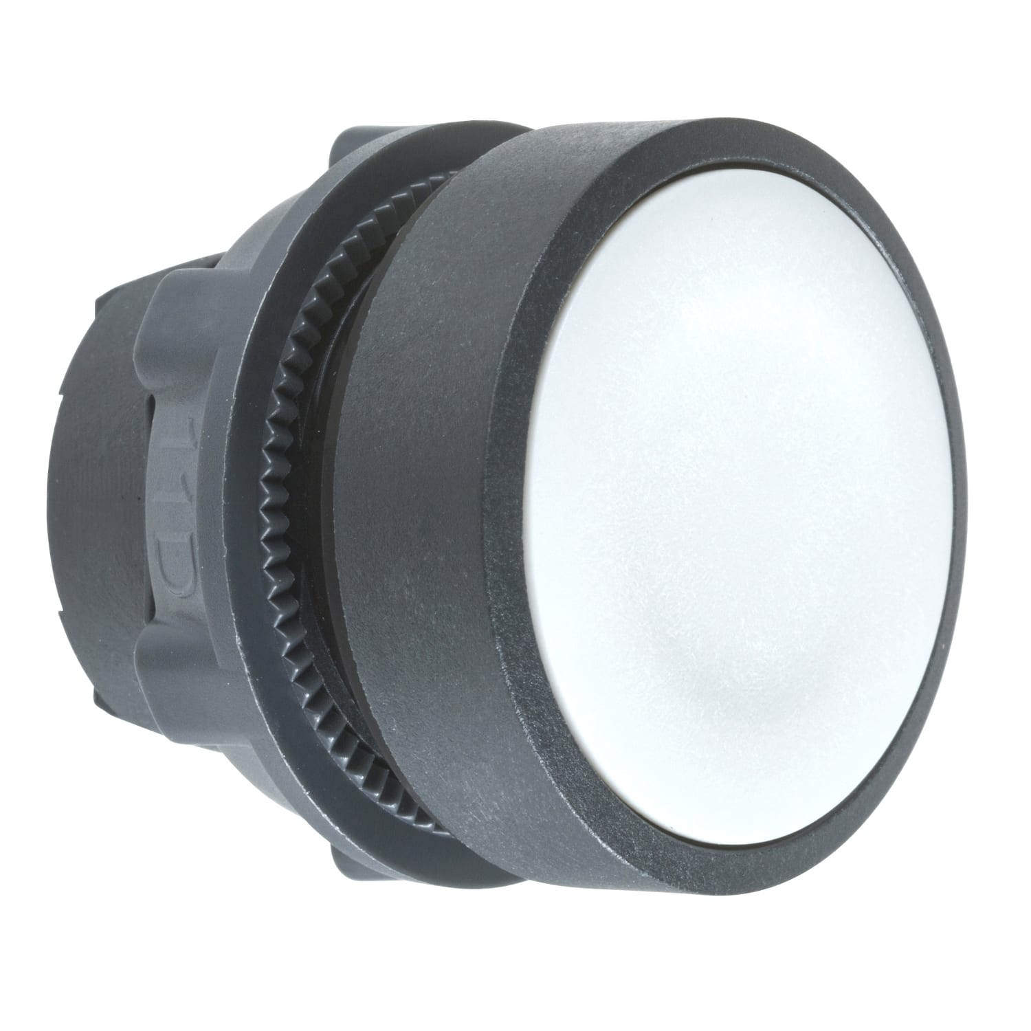SCHNEIDER ELECTRIC SNRZB5AA8 TESTA PULSANTE GRIGIO