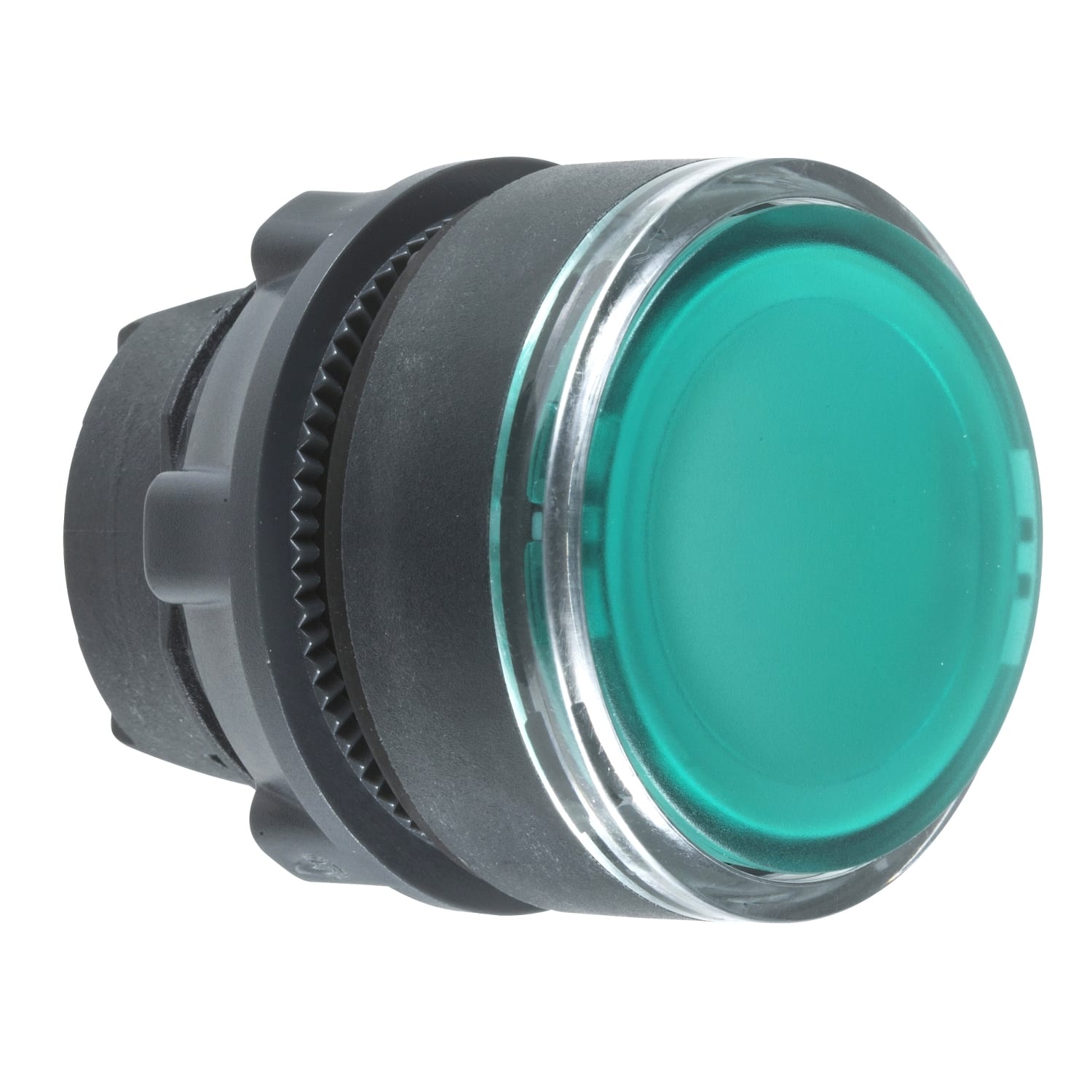 SCHNEIDER ELECTRIC SNRZB5AA38 TESTA PULSANTE VERDE