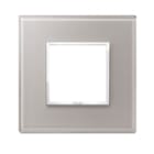 VIMAR SPA - VIW21642.73 PLACCA 2M GRIGIO PERLA