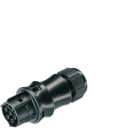 WIELAND ELECTRIC SRL - WIE96.051.4553.1 FEM.C.W.STR-REL.RST20I5S B1 ZR3 SW